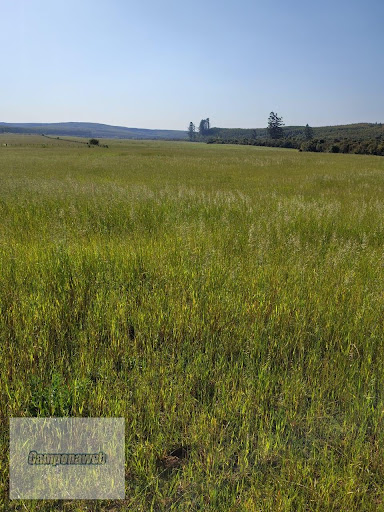 Fazenda em Pantano Grande Rs  