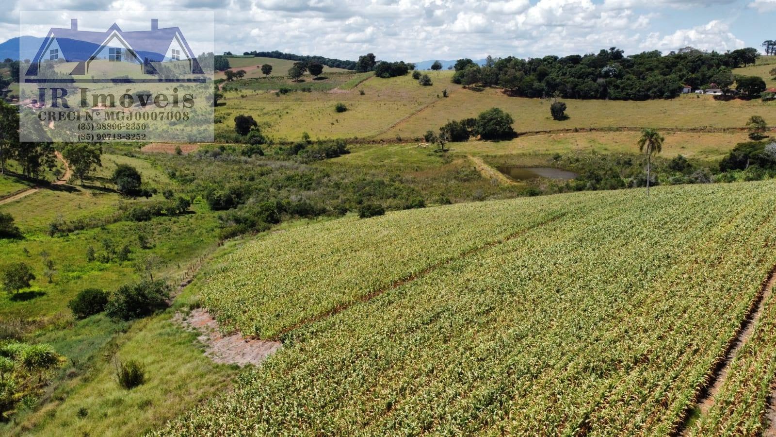 Rural à venda no Bairro Floresta, Piranguinho (MG) — foto 2 de 11
