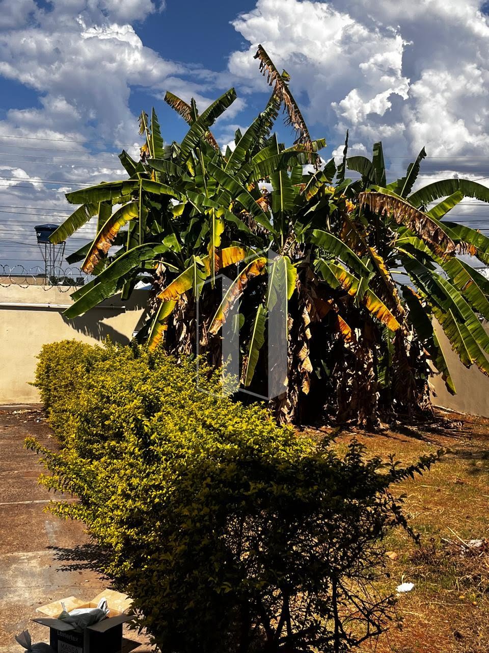 Casa, 3 quartos, 168 m² - Foto 4