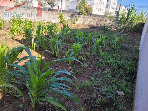 Terreno em Residencial Novo Horizonte  -  Taubaté