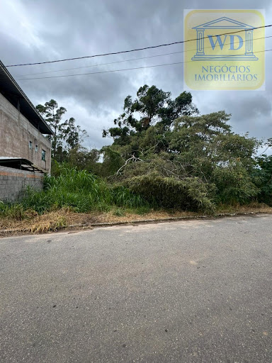 Lote em  Alfredo Vasconcelos