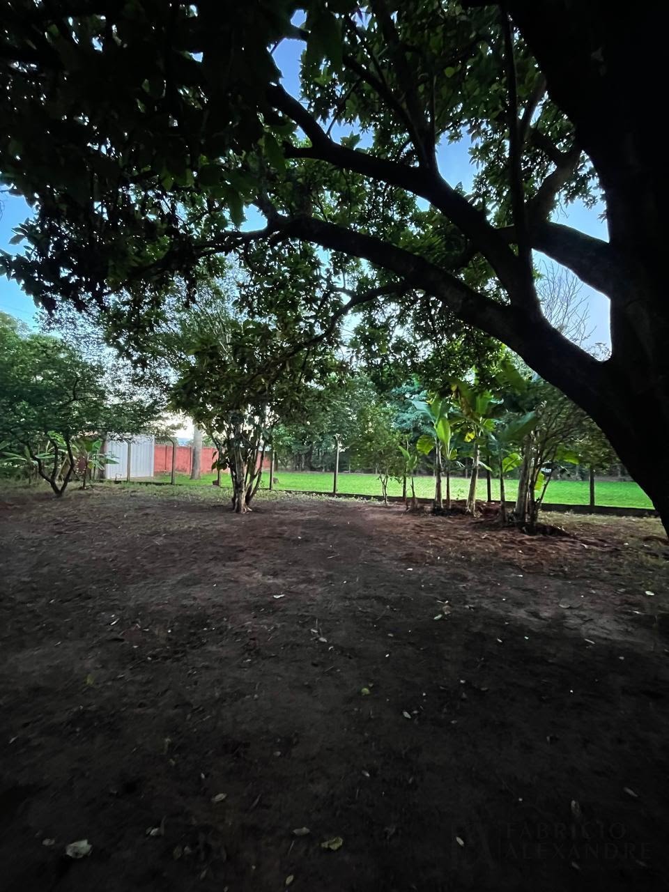 Casa à venda com 7 banheiros e 6 vagas no Talhados, São José do Rio Preto (SP) — foto 28 de 30