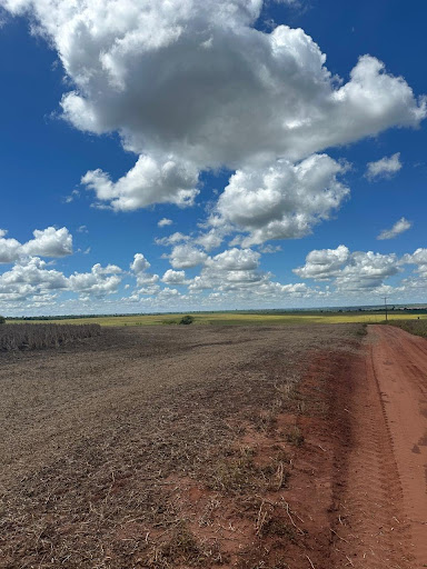 Fazenda em Zona Rural  -  Campo Grande