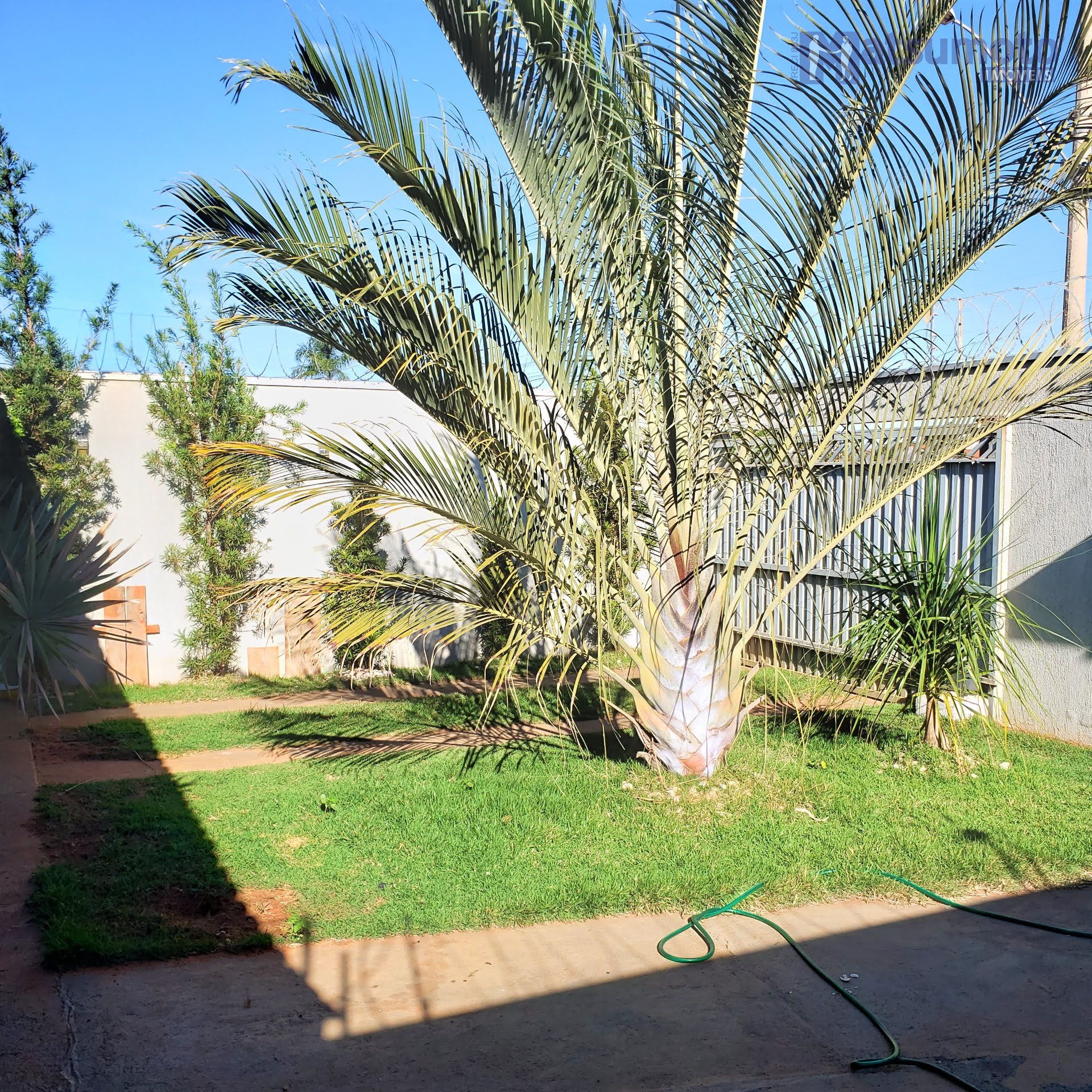QUINTAL / JARDIM