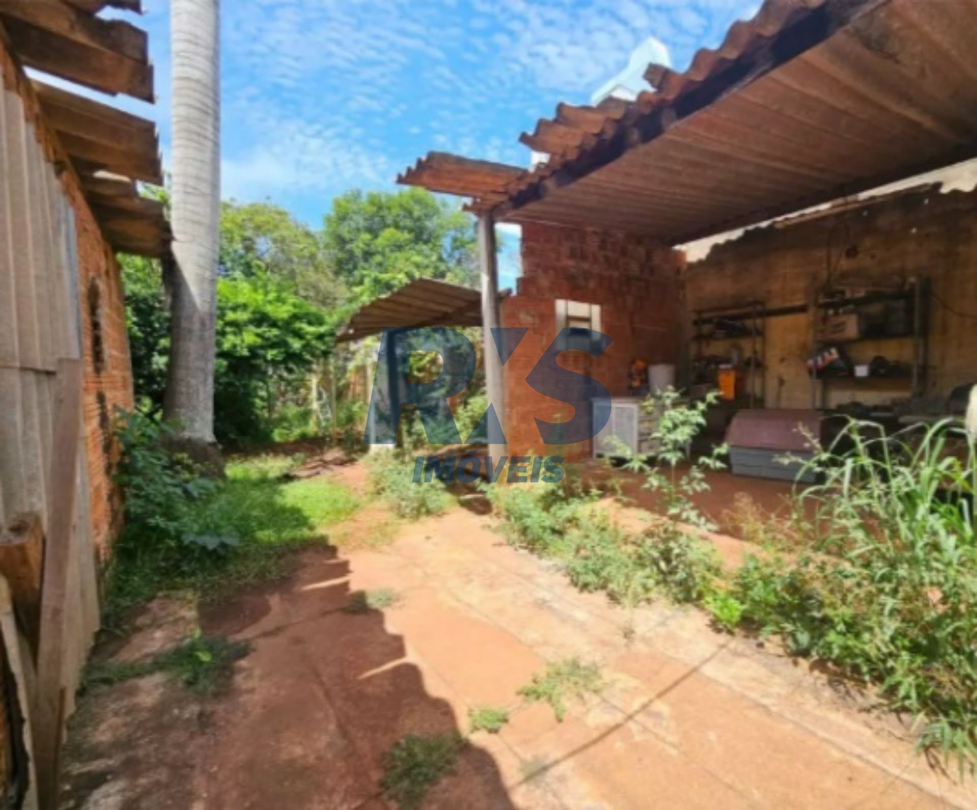Foto 01