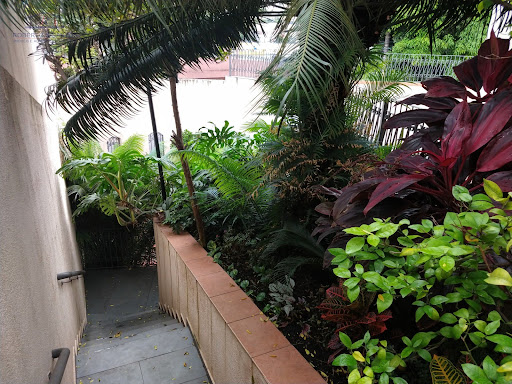 Jardim