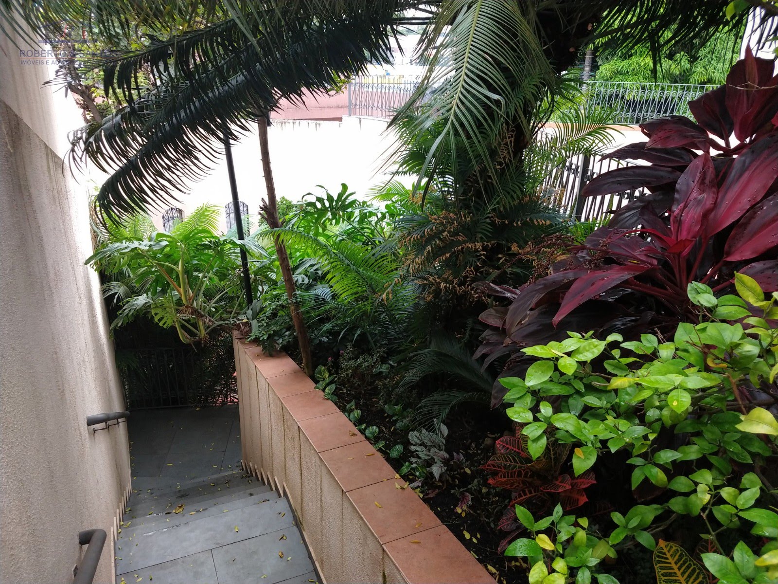 Jardim