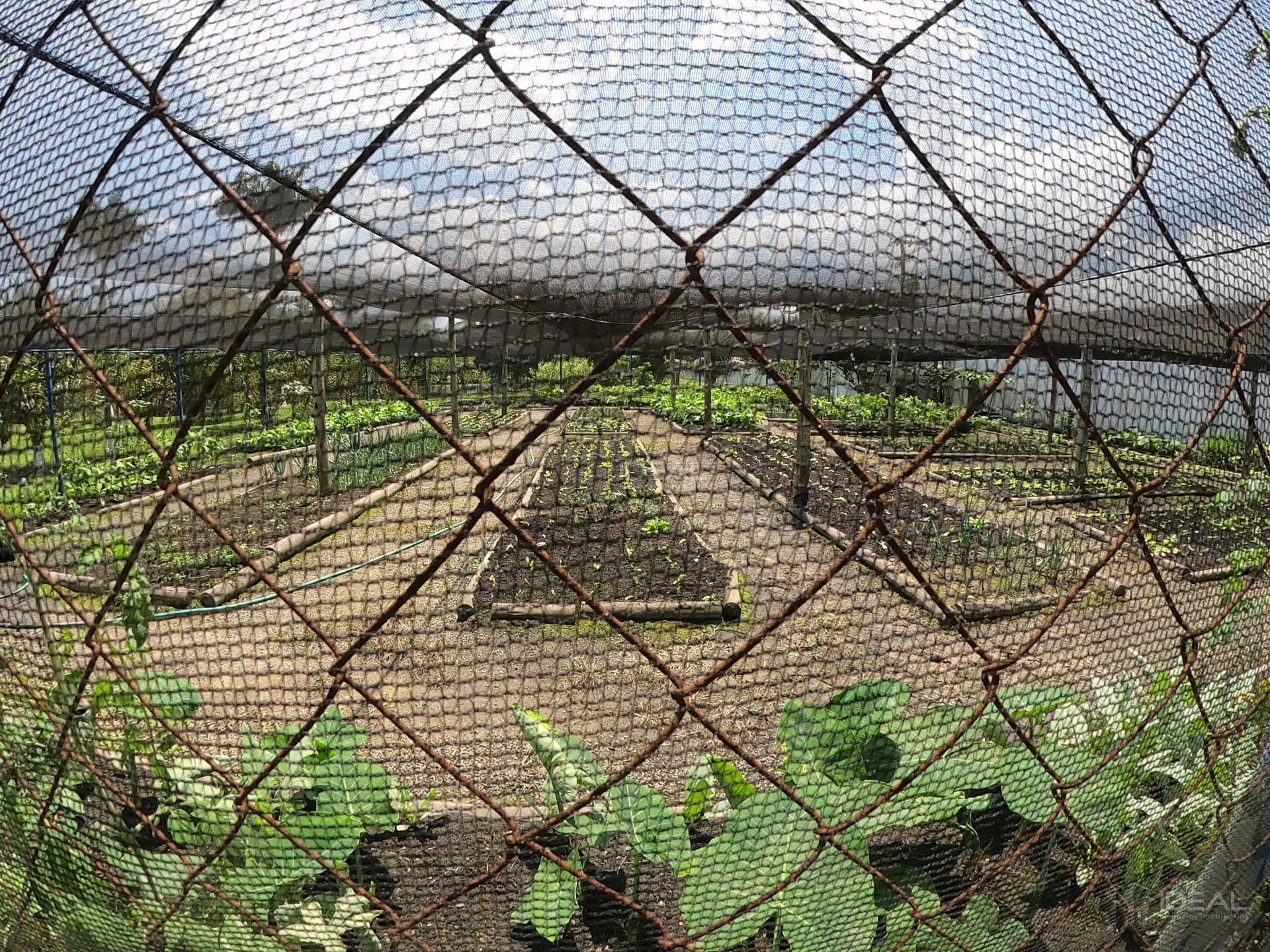 Terreno à venda com 600m² de terreno no Parque Rodoviario, Campos dos Goytacazes (RJ) — foto 12 de 14