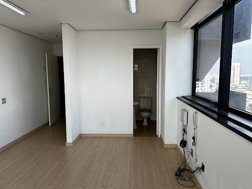 Apartamento em Cambuci  -  São Paulo