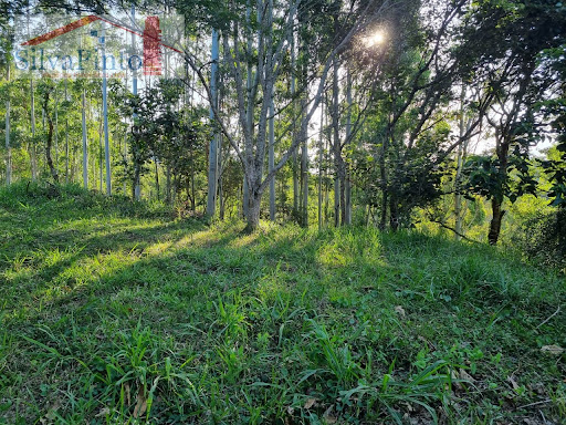 Terreno Condomínio no Bairro Rio Preto  -  Santo Antônio do Pinhal