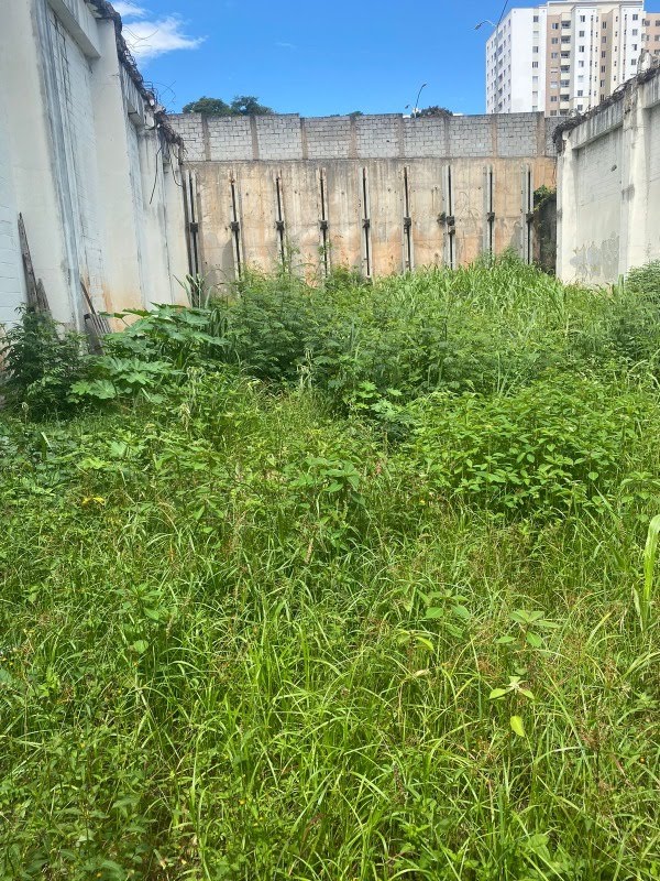 Terreno, 531 m² - Foto 3