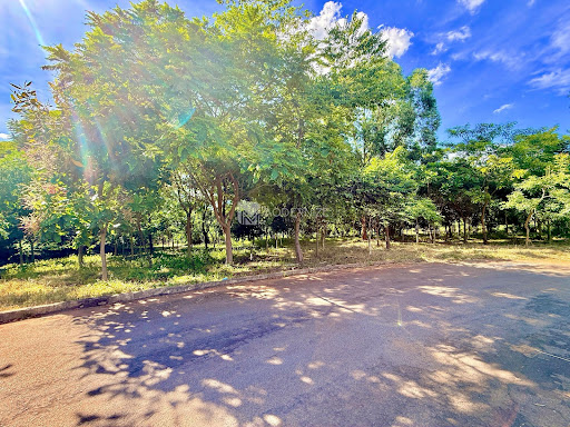 Lote / Terreno em Loteamento Jardins Florença  -  Catalão