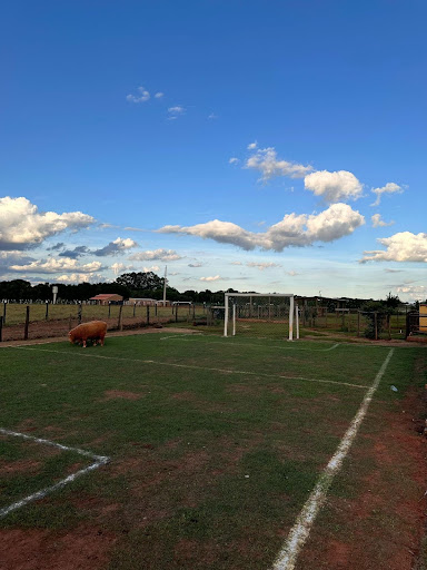 Chácara em zona ru  -  Bandeirantes