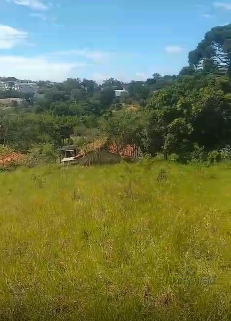 Terreno à venda com 14000m² de terreno no Jardim Caiubi, Itaquaquecetuba (SP) — foto 11 de 15