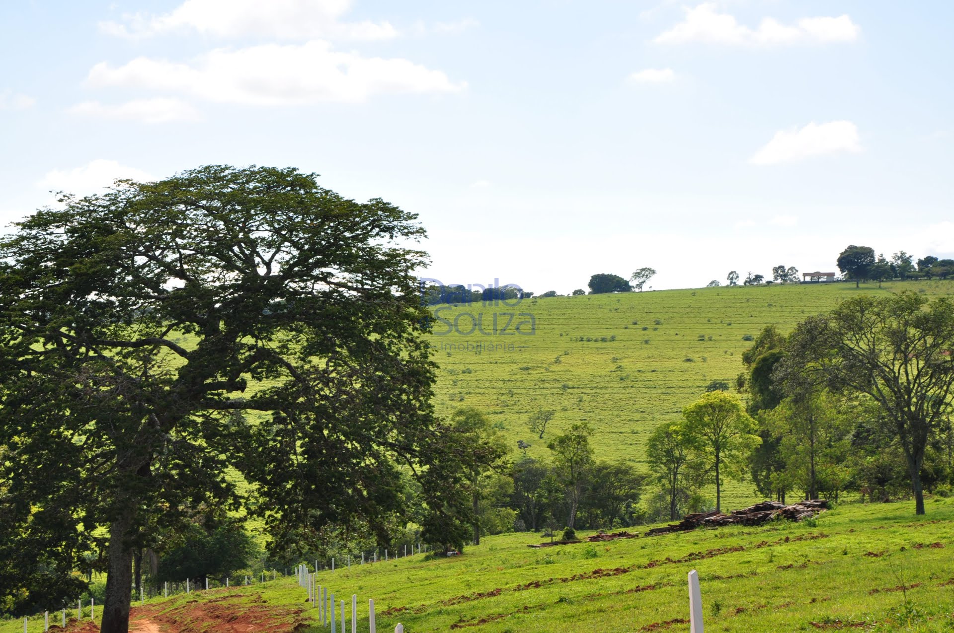 Rural à venda com 20000m² de terreno no Novo Santo Antônio, Araxá (MG) — foto 10 de 20