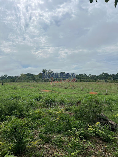 Fazenda em Zona Rural  -  Machadinho d'Oeste