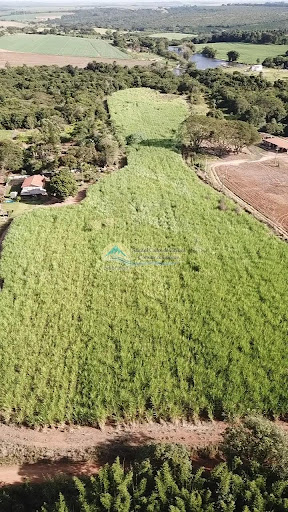 Sítio à Venda em Casa Branca/SP - Imóvel Rural
