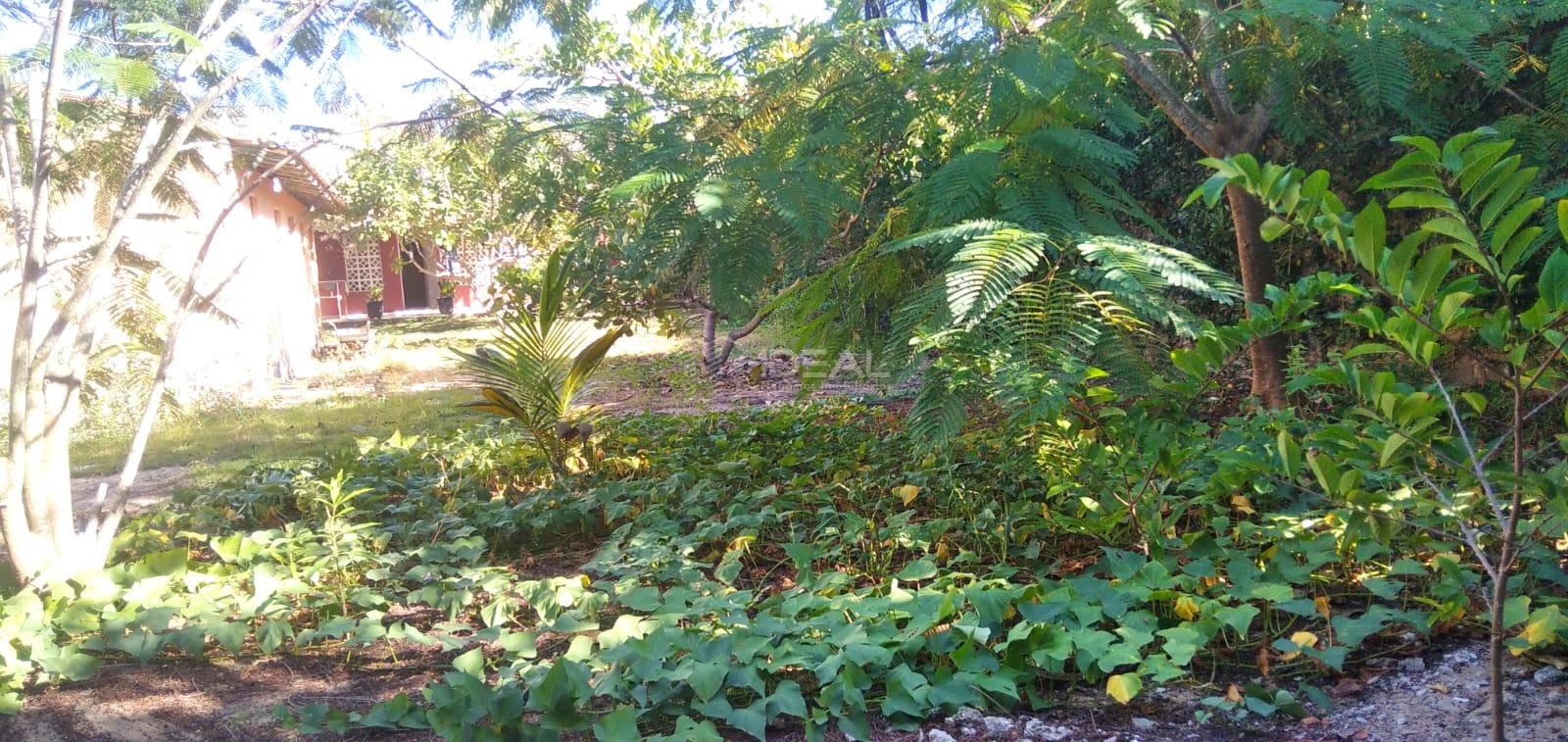 Casa à venda com 3 quartos, 2 banheiros, 3 vagas e 201m² no Atafona, São João da Barra (RJ) — foto 15 de 28