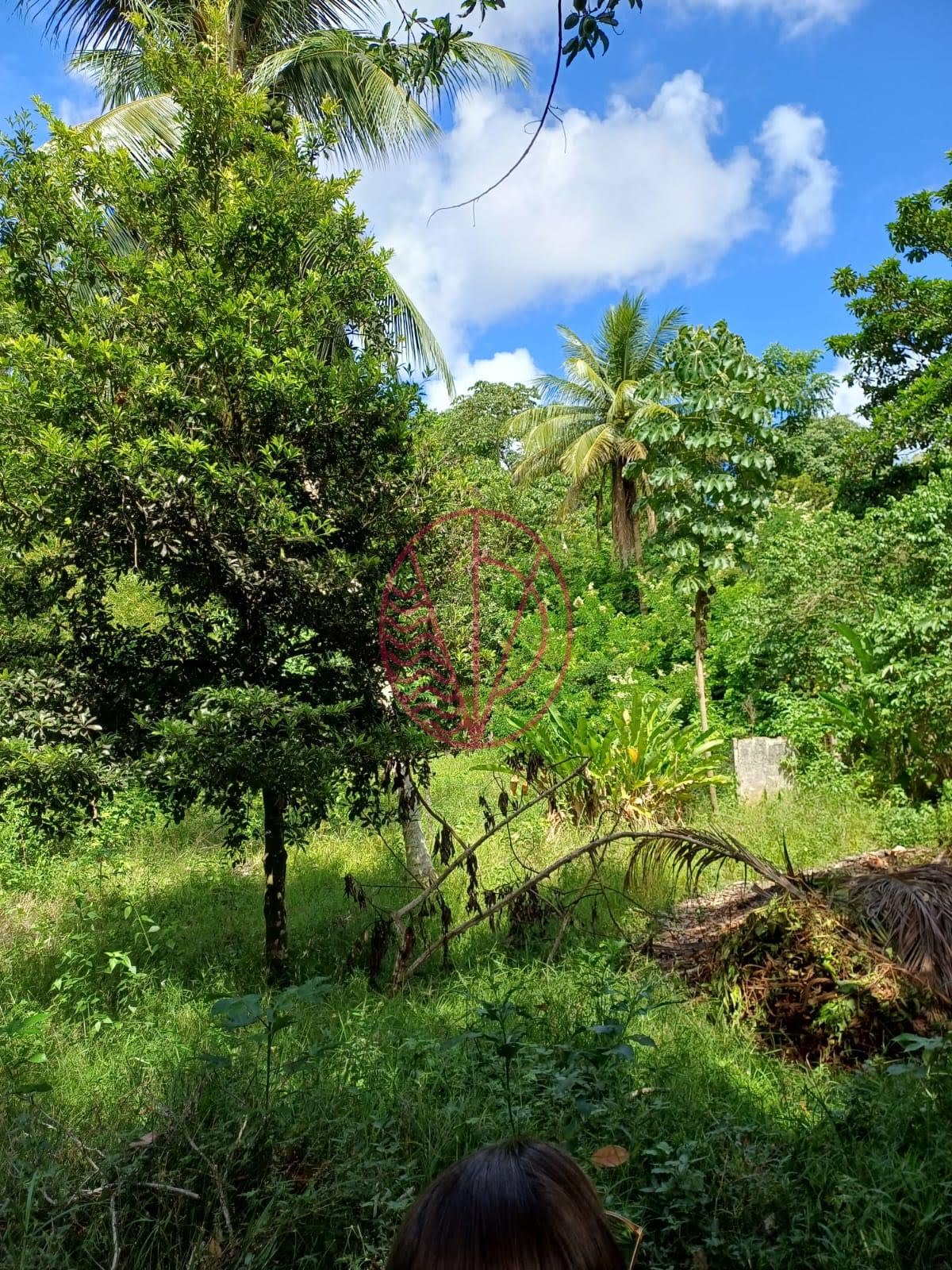 Casa à venda com 3 quartos, 1 suíte, 4 vagas e 124m² no Malícia (abrantes), Camaçari (BA) — foto 22 de 29