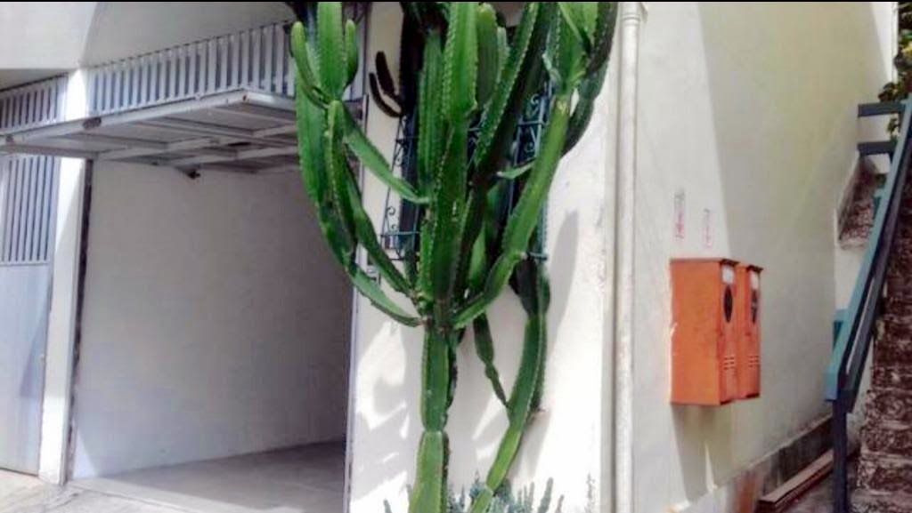 Casa à venda com 3 quartos, 1 suíte, 2 vagas e 140m² no Retiro, Petrópolis (RJ) — foto 3 de 13