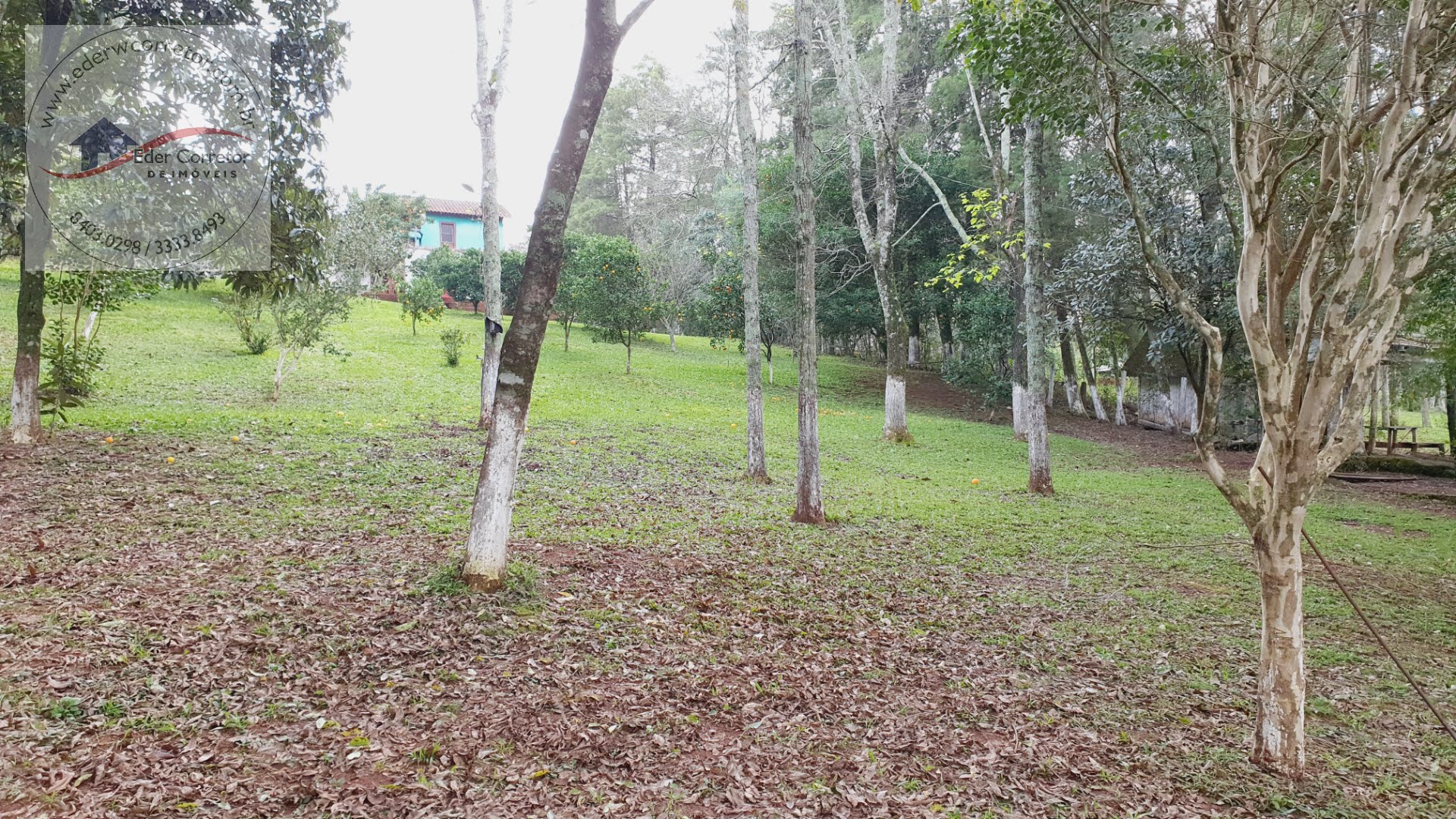 Rural à venda com 3200m² de terreno no Interior, Ijuí (RS) — foto 13 de 16