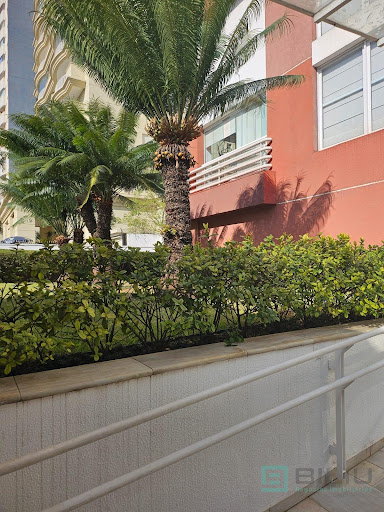 Cobertura em Vila Gomes Cardim  -  São Paulo