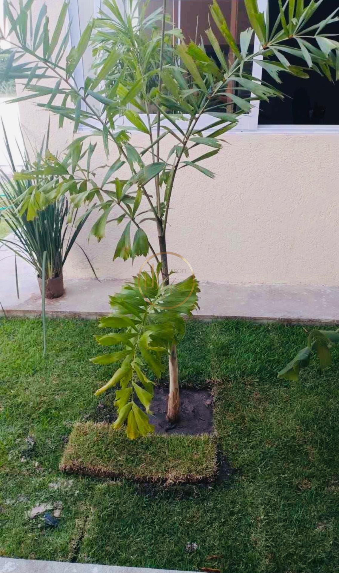 Casa à venda com 3 quartos, 1 suíte, 2 vagas e 100m² no Coroa Vermelha, Santa Cruz Cabrália (BA) — foto 7 de 30