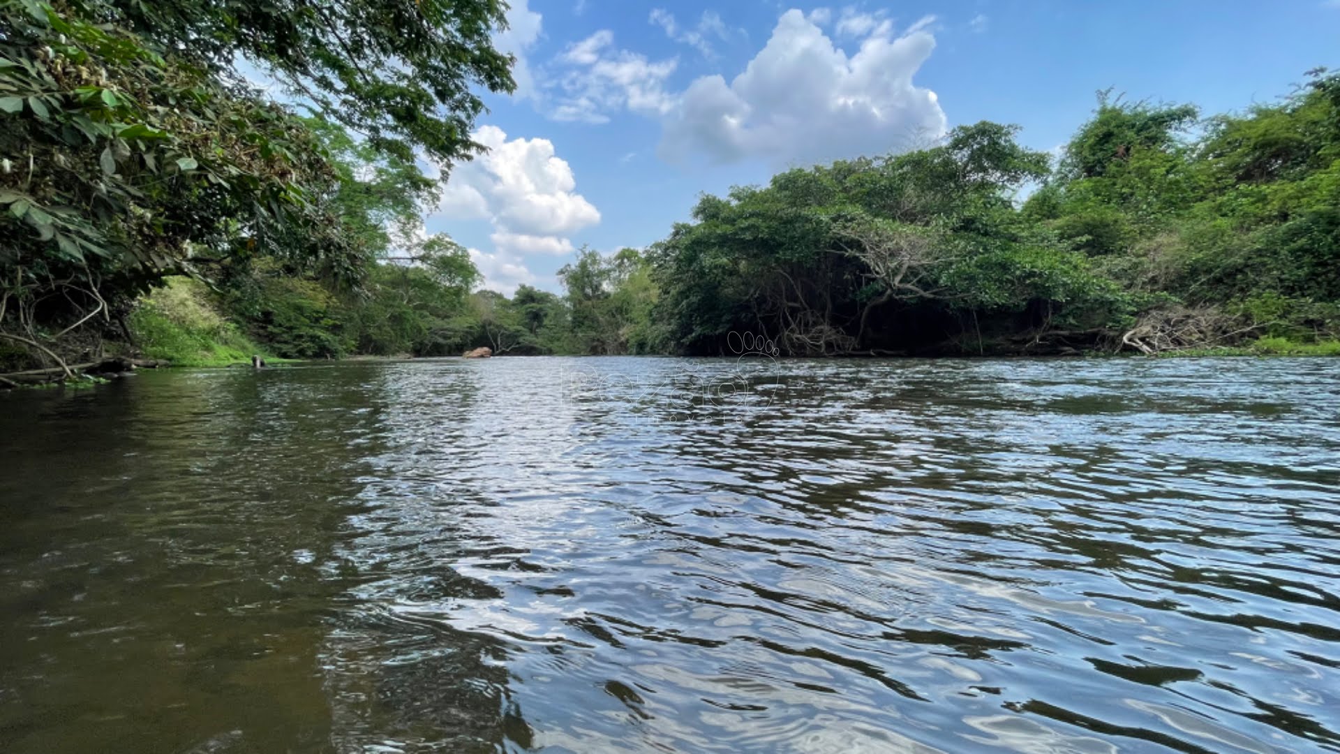 Rural à venda com 5800m² de terreno no Condominio Recanto dos Maias, Heitoraí (GO) — foto 19 de 23