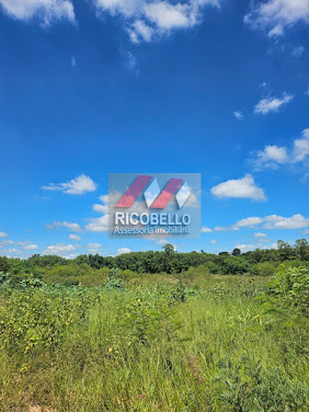 em Campestre - Piracicaba, SP