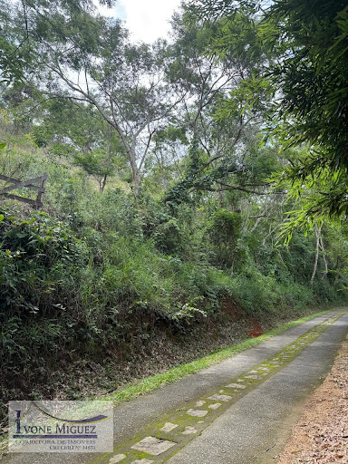 Terreno em Vale Das Videiras  -  Paty do Alferes