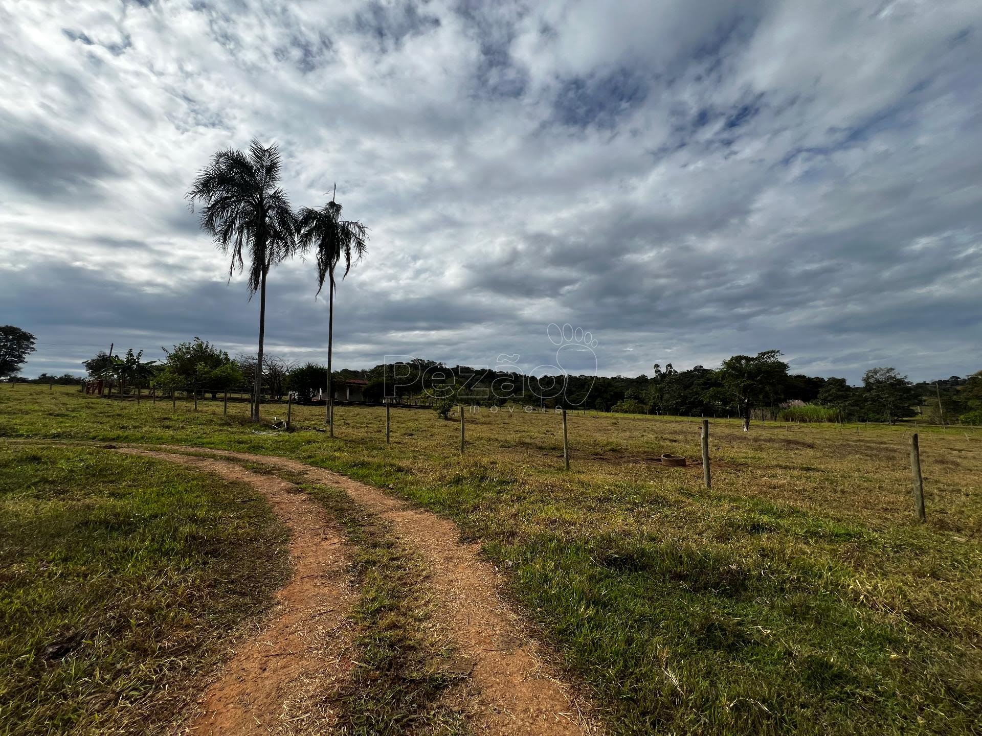 Rural à venda no Estrada Que Liga Itapuranga A Vila São José, Itapuranga (GO) — foto 15 de 30