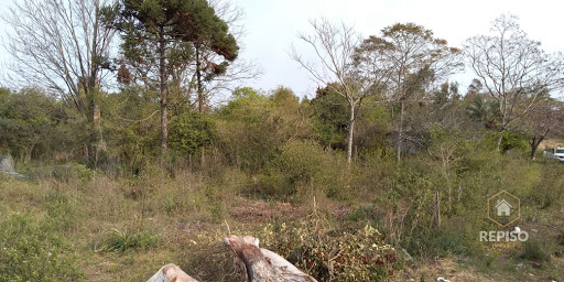 Lotes em São Marcos a partir de R$10.000,00  -  Uruguaiana