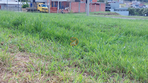 Terreno Condomínio Reserva da Mata  -  Mogi Mirim
