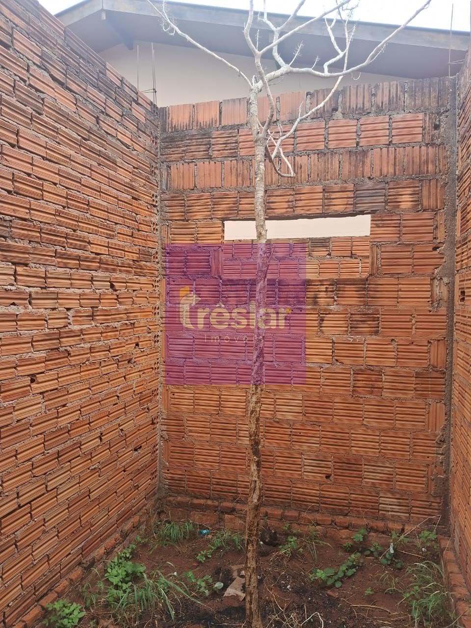 Casa à venda com 3 quartos, 1 banheiro, 1 vaga e 312m² no Jardim das Paineiras, Três Lagoas (MS) — foto 5 de 12