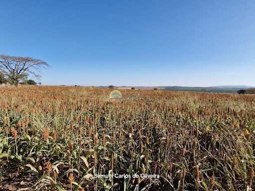 fazenda a venda em casa branca