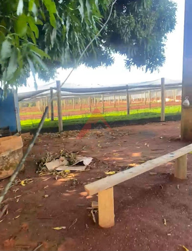 Fazenda  -  Piui-MG