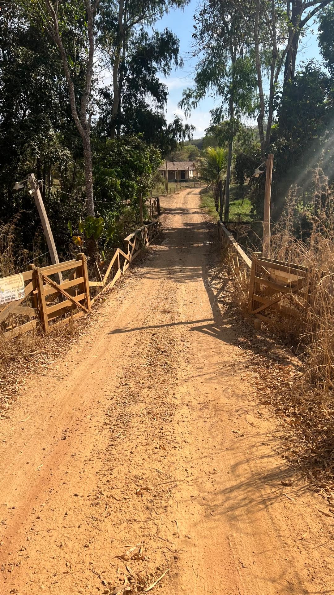 Fazenda, 1001 hectares - Foto 1