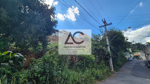 Lote / Terreno em Esplanada  -  Ponte Nova