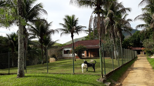 Sítio em Bicuda Pequena  -  Macaé