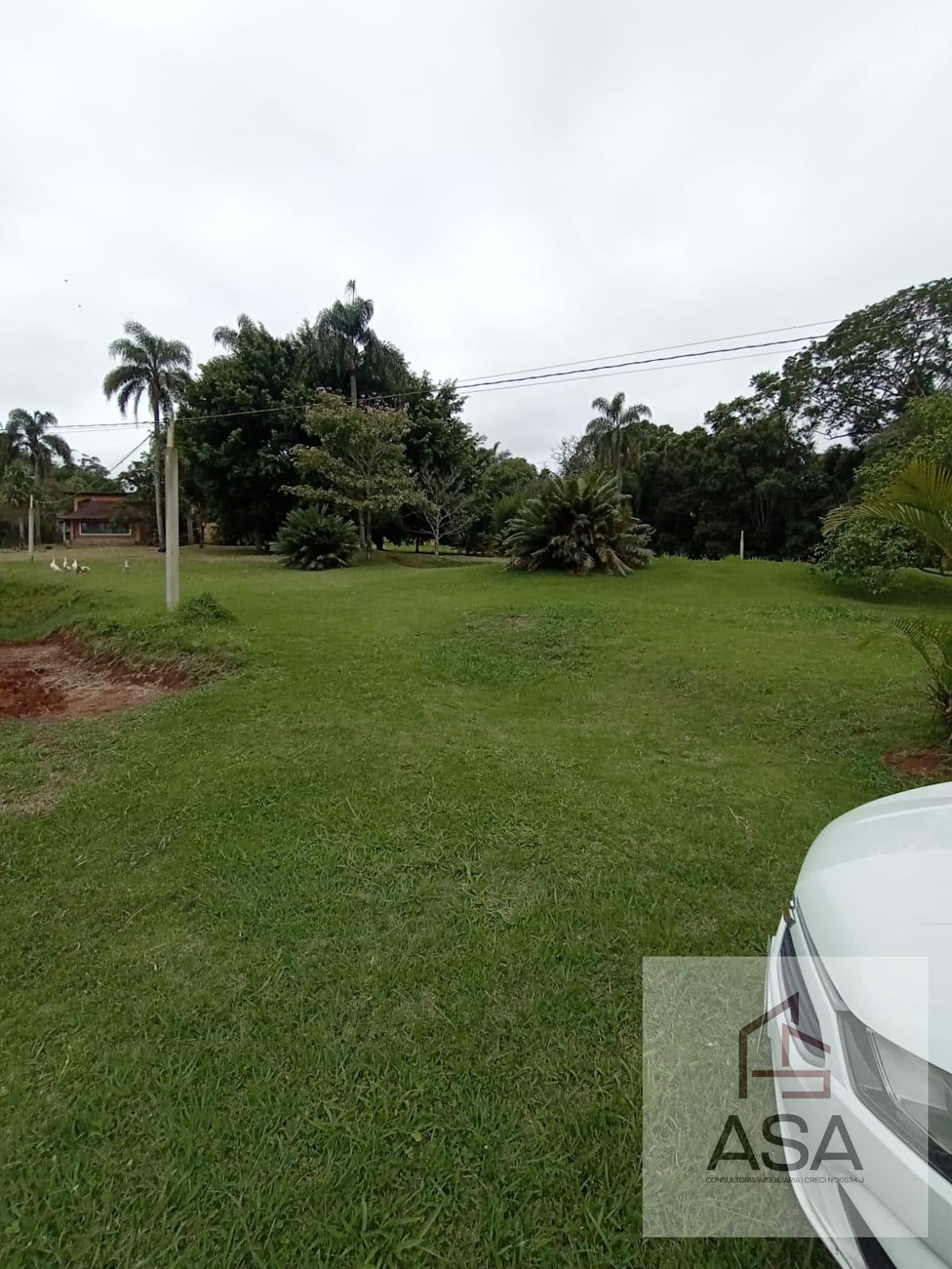 Sítio, 6 quartos, 9 hectares - Foto 35