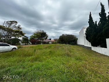 Terreno em Morro dos Conventos  -  Araranguá