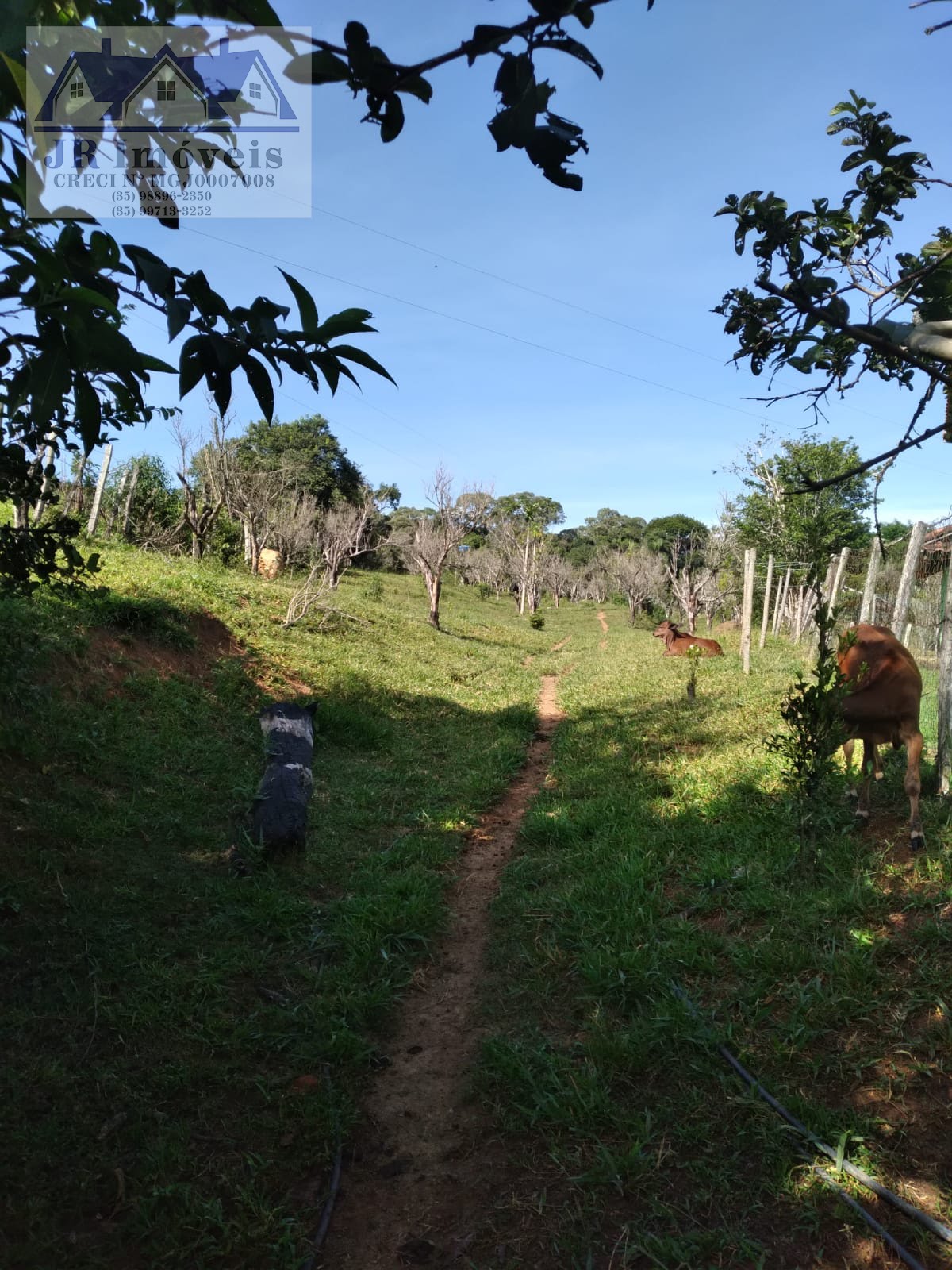 Rural à venda com 20000m² de terreno no Paulino Paixao, Pedralva (MG) — foto 7 de 28