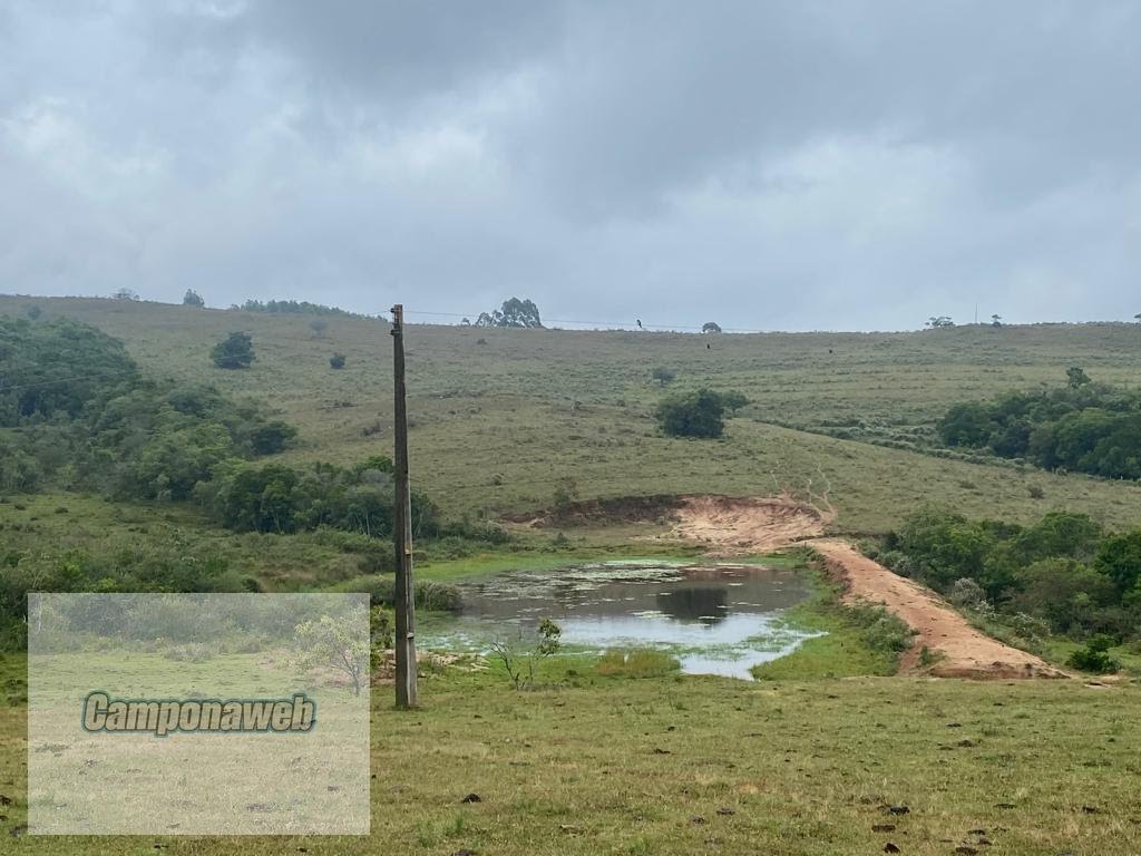 Fazenda a venda RS