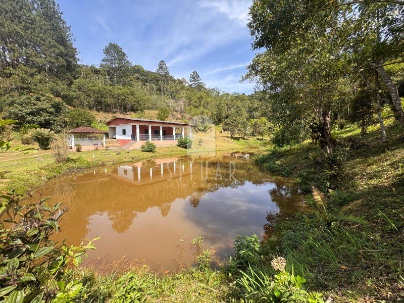 Foto 01