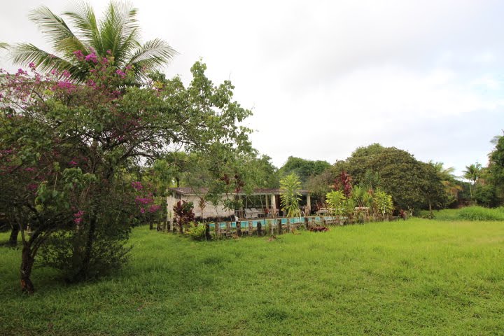 Casa à venda com 10000m² no Guabiraba, Recife (PE) — foto 16 de 23