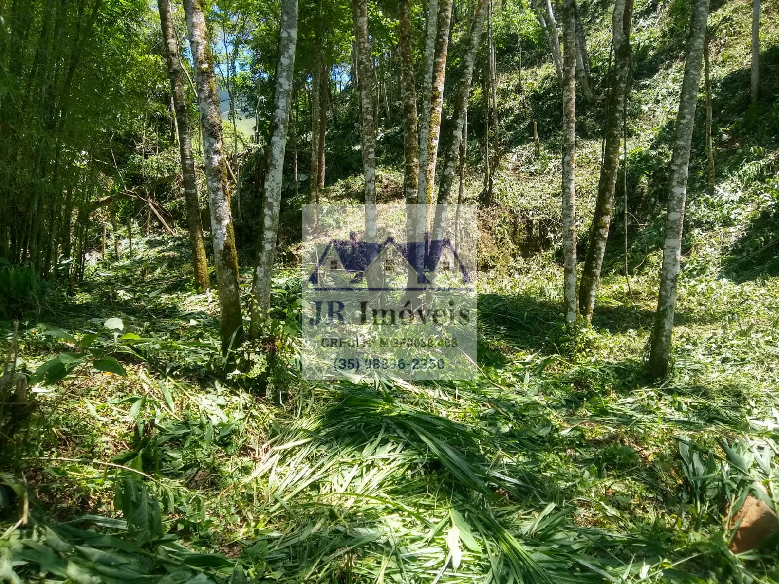 Terreno à venda com 3600m² de terreno no Taquaral, Delfim Moreira (MG) — foto 15 de 18