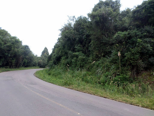 Foto 04