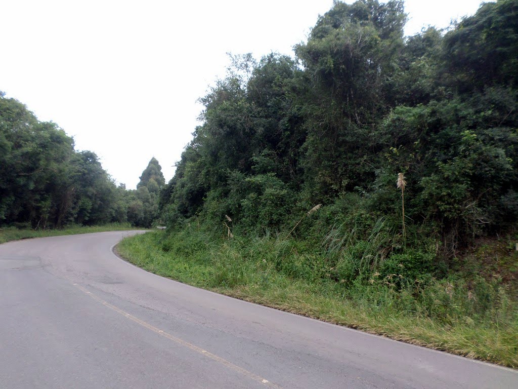 Foto 04