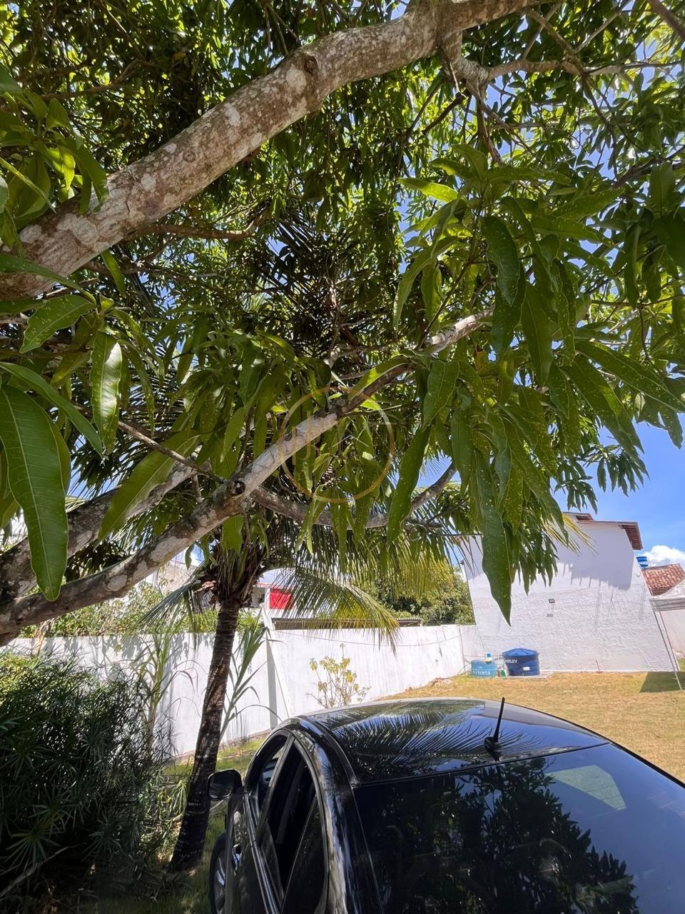 Apartamento à venda com 2 quartos, 1 banheiro e 140m² no Coroa Vermelha, Santa Cruz Cabrália (BA) — foto 9 de 14