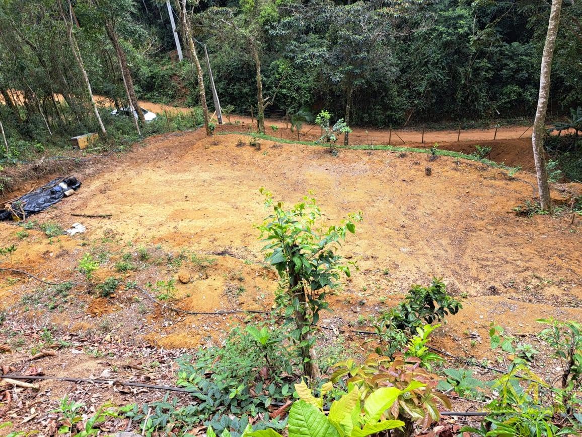 Rural à venda com 20000m² de terreno no Zona Rural de Santa Tereza, Santa Teresa (ES) — foto 19 de 20
